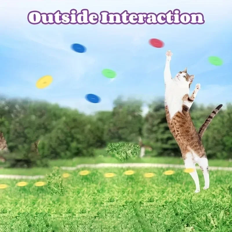 Funny Cat Toys Creative Turnip - đánh giá và giá Frisbee Freestyle Disc